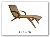 CH-010