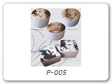 P-005