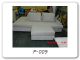 P-009