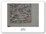 101