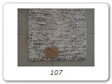 107