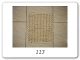 113