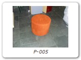 P-005