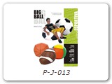 P-J-013