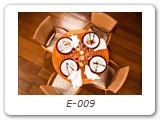 E-009