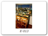 E-013