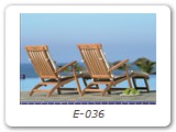 E-036