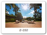 E-050