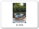 E-055