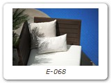 E-068