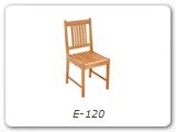 E-120