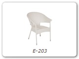 E-203