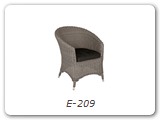 E-209
