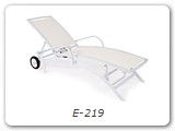 E-219