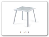 E-223