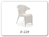 E-229