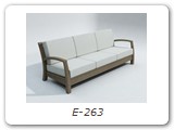 E-263