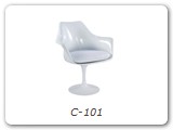 C-101