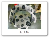 C-116