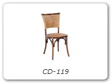 CD-119