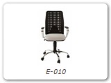 E-010