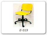 E-019