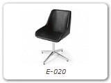 E-020