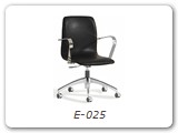 E-025