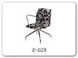 E-029