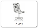 E-053