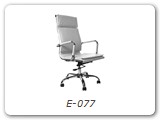 E-077