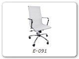 E-091