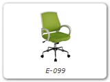 E-099
