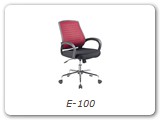 E-100