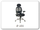 E-101