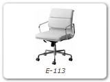 E-113