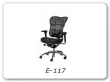 E-117
