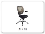 E-119