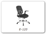 E-120
