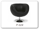 P-024