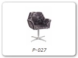 P-027