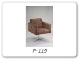 P-119