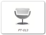 PT-013