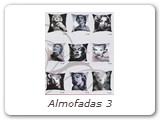 Almofadas 3
