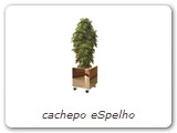 cachepo eSpelho