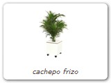 cachepo frizo