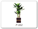 P-002