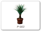 P-003