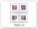 Telas 13