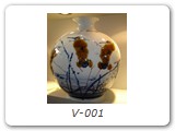 V-001
